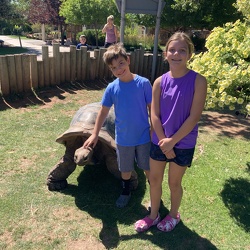 Day 2 - Reptile Gardens - Hiking Cathedral Spires - Mount Rushmore